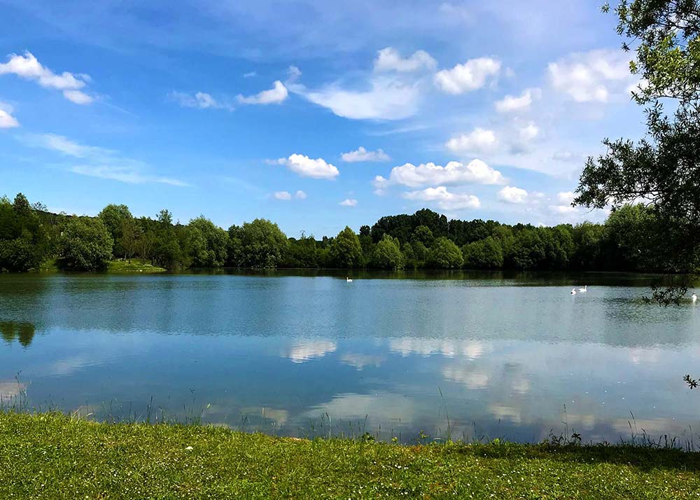 French Carp Fishing