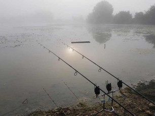 lac-de-missy-willow-lake-carp-fishing-7