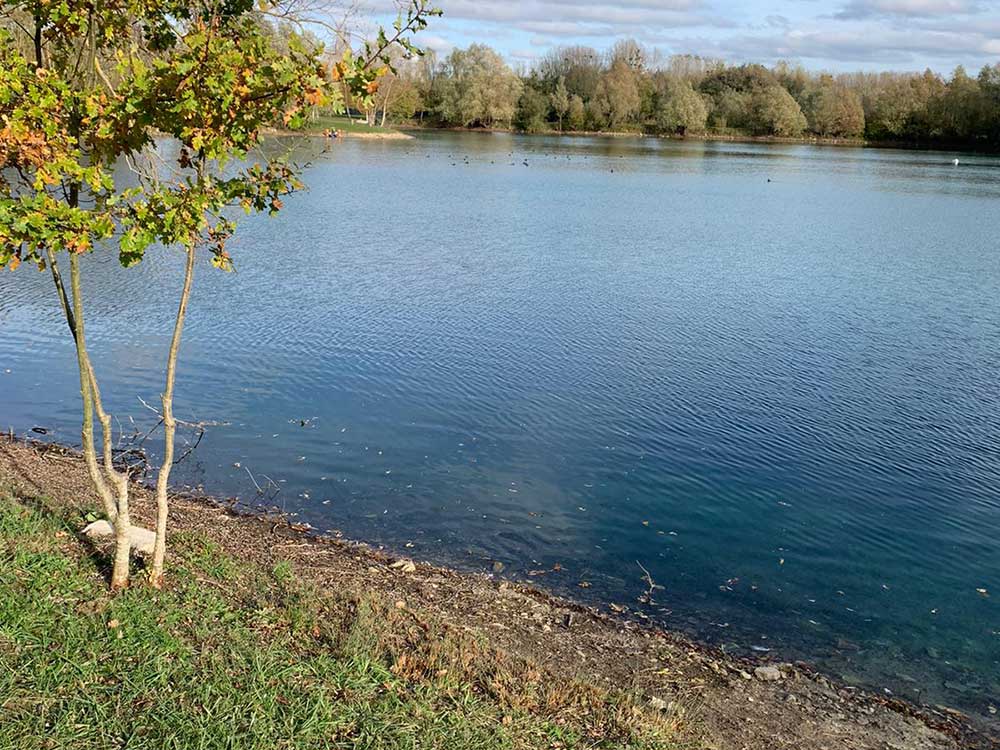 Duclair Swim Willow Lake